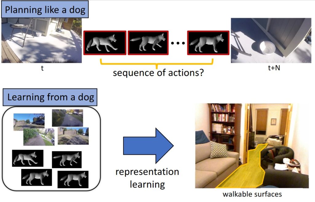 Who’s a good AI? Dog-based data creates a canine machine learning system