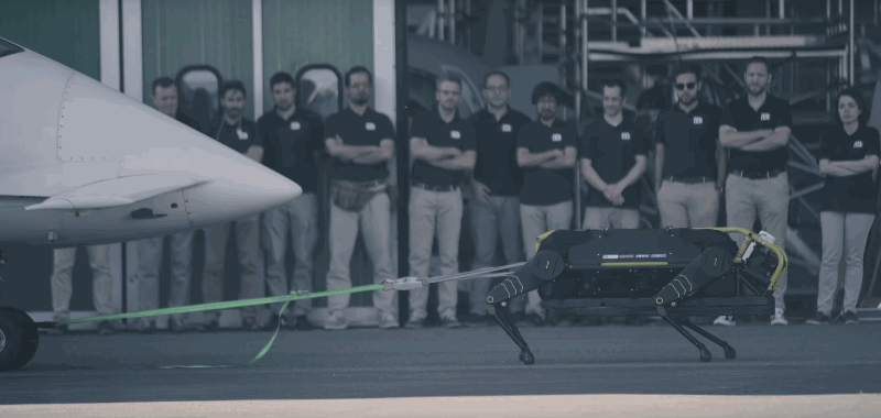 You can do it, robot! Watch the beefy, 4-legged HyQReal pull a plane