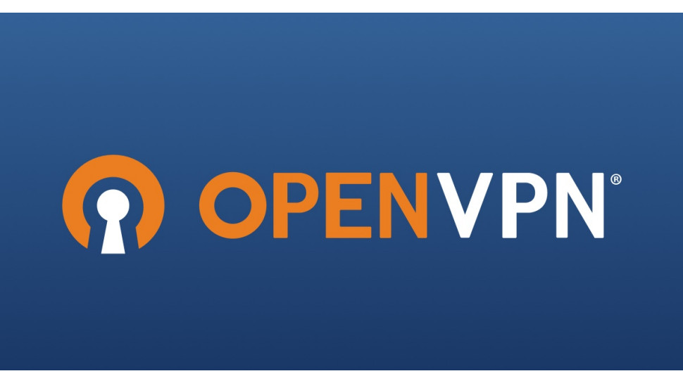 What is OpenVPN?