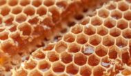 Computer Chips Made Out of Honey? Researchers Believe it’s the Future of Biodegradable and Fast Computing