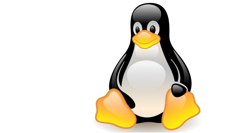Best Linux distros for Windows users in {year}