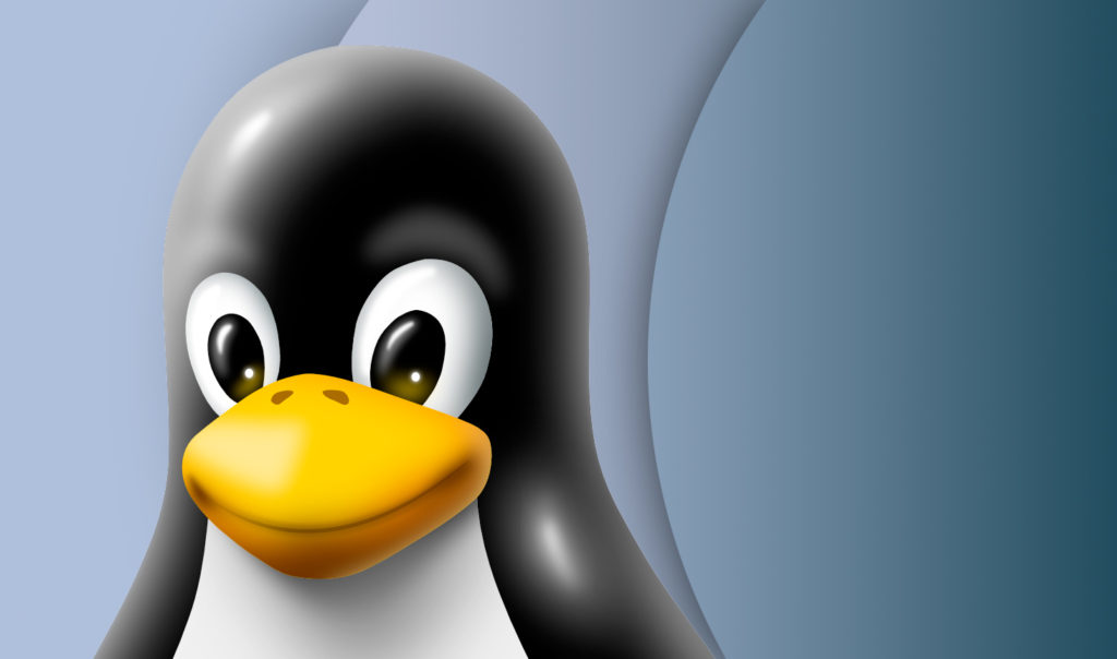 Best weird and wonderful niche Linux distros in {year}