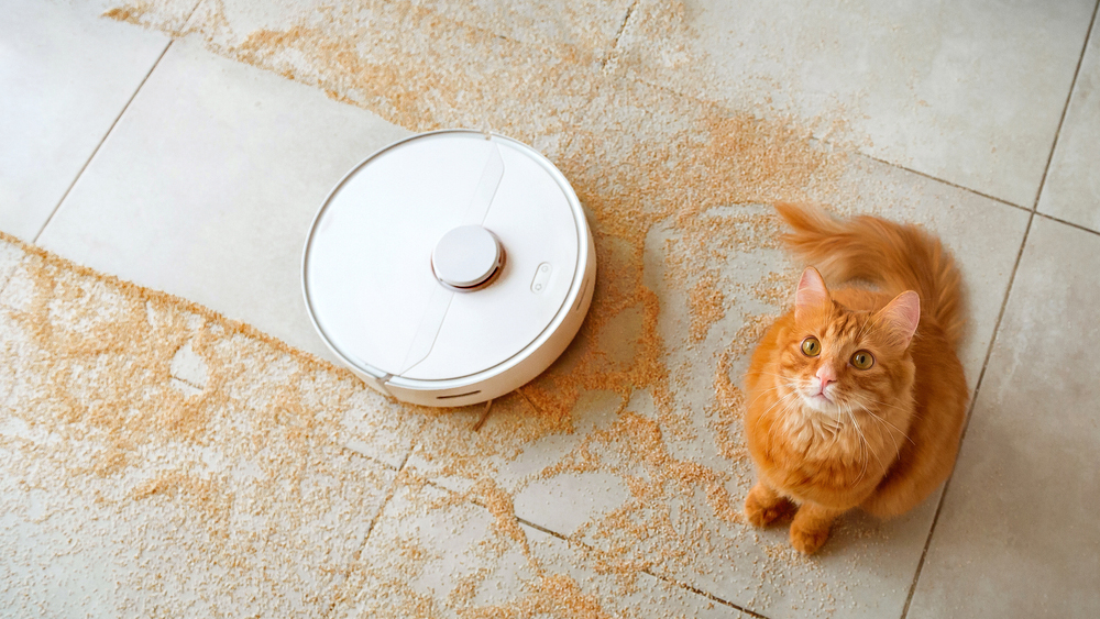 Robot vacuums are great, but they can't tackle every cleaning job