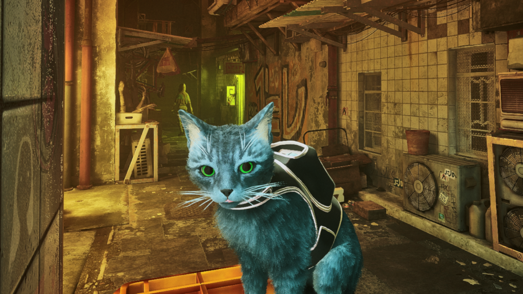 Stray players are putting their own cats in the game