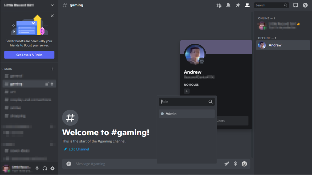 How to make a user an admin on your Discord server