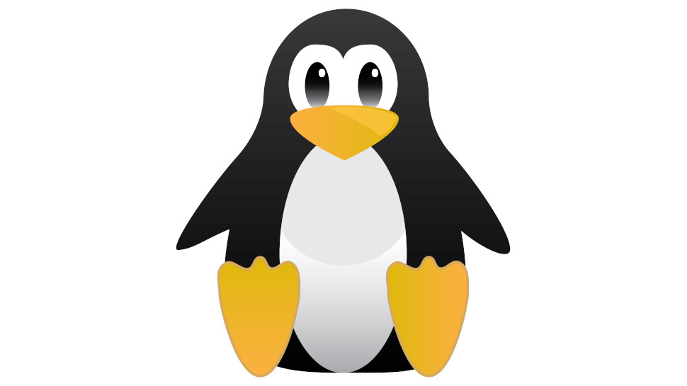 One of the world's most popular programming languages is coming to Linux