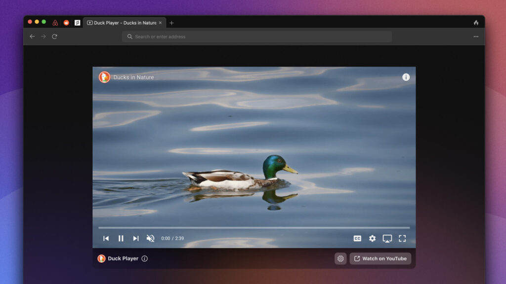 DuckDuckGo browser for Mac beta has one trick YouTube won't like - but you will