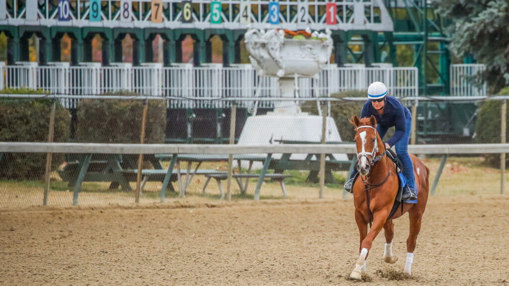 How to watch Breeders' Cup 2022: live stream the Classic and the meet online