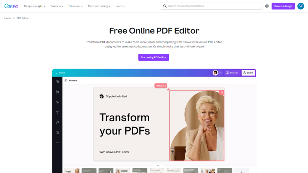 Canva PDF Editor review