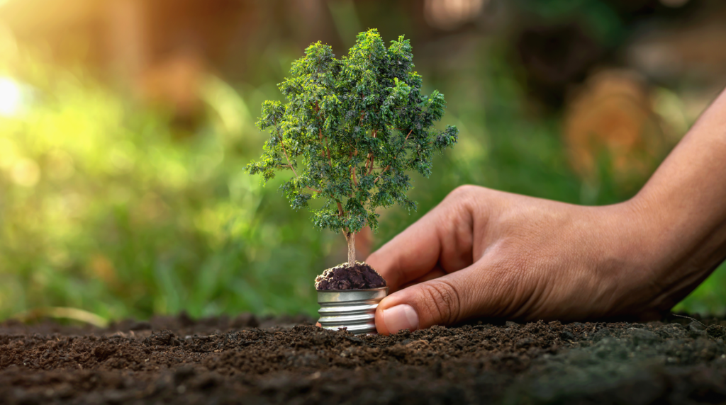 How Singapore is turning to tech to keep tabs on its trees