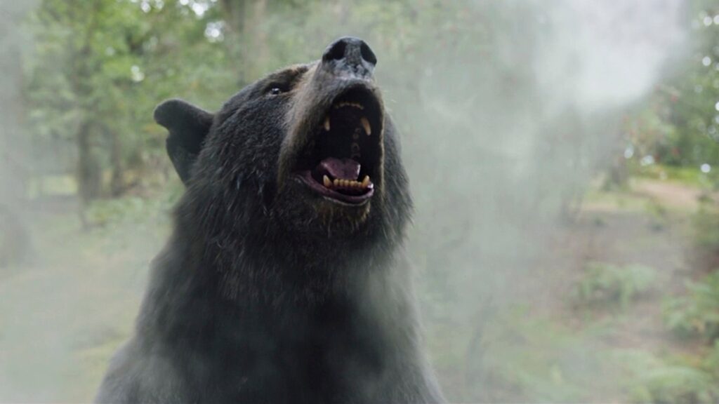 A fierce Cocaine Bear debate is raging about whether the comedy-horror movie is good or not