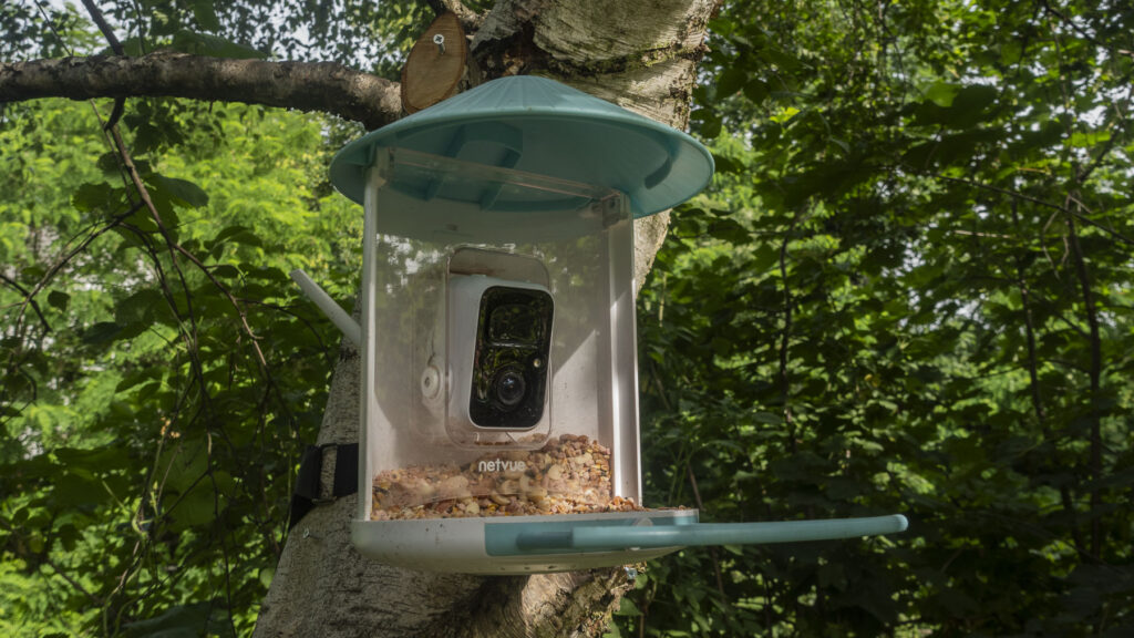 Netvue Birdfy Feeder AI review