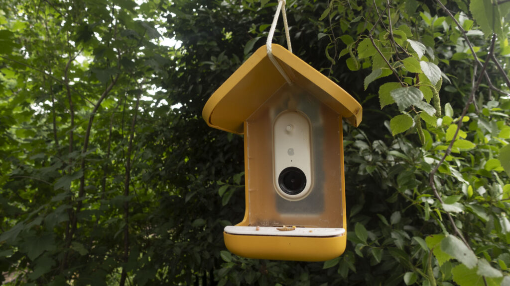 Bird Buddy Smart Bird feeder review