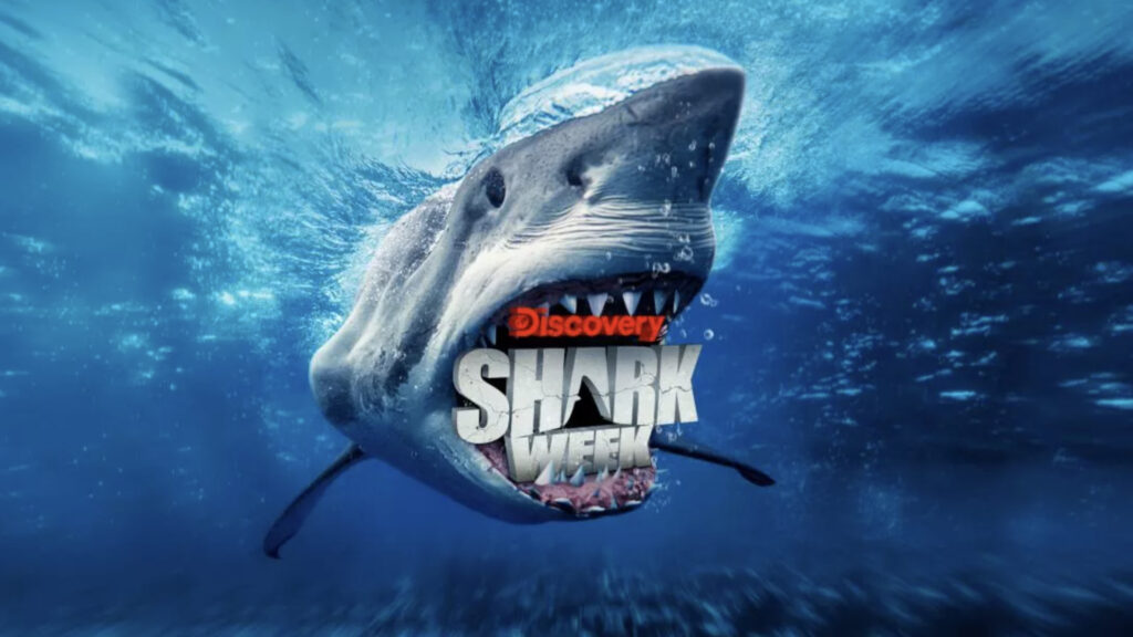 How to watch Shark Week 2023 online: stream on Discovery Plus from anywhere