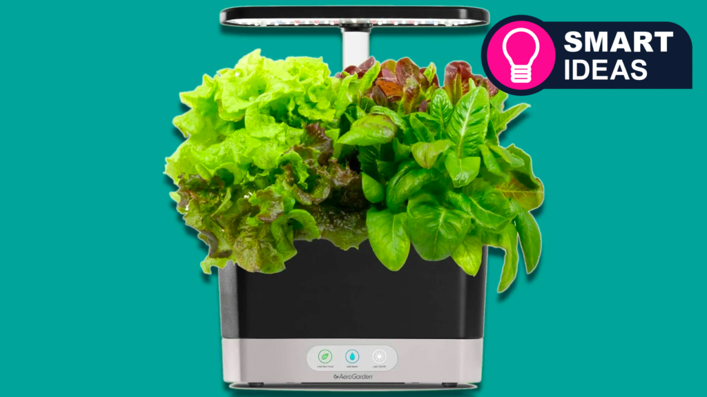 Even if you're terrible with plants, this smart device will help you grow a garden