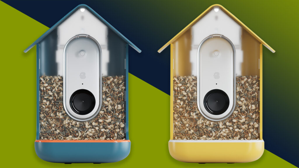 The best bird feeder camera in 2023: birdwatching at home