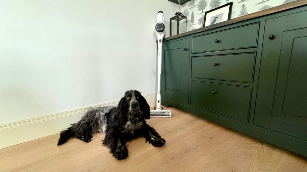 Tineco Pure One X Pet vacuum review: a lightweight cordless for pet lovers