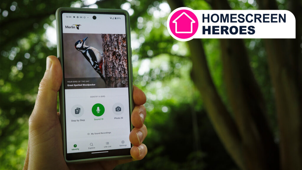 The free Merlin app can record and identify thousands of bird calls, and now I’m hooked
