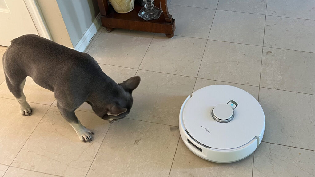 Narwal Freo X Ultra robot vacuum review: almost great but with one big flaw