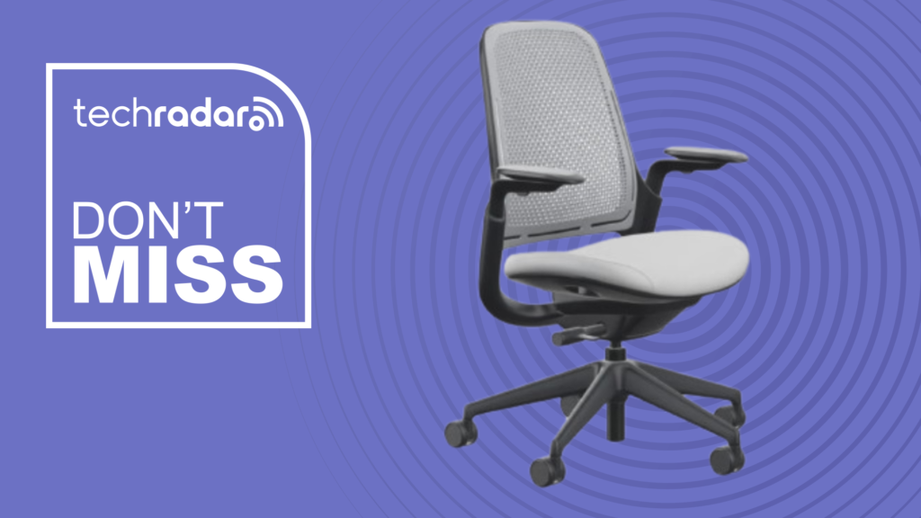 This is probably one of the most comfortable office chairs you can buy - and it's 10% in the Steelcase Labor Day sale