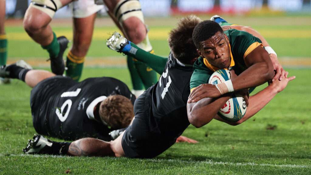 How to watch South Africa vs New Zealand: free live streams for Rugby Championship 2024 game