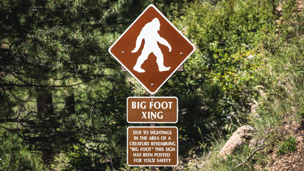 This AI bot will check for you if Bigfoot is real