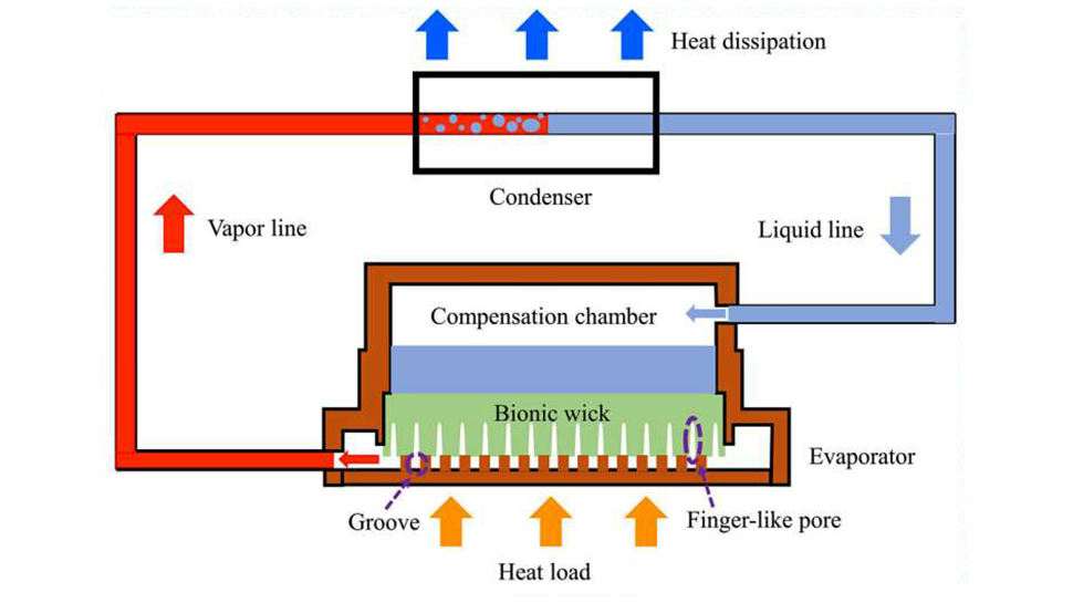 Researchers get inspiration from Mother Nature to design innovative chip cooler that could one day find its way in AI data centers