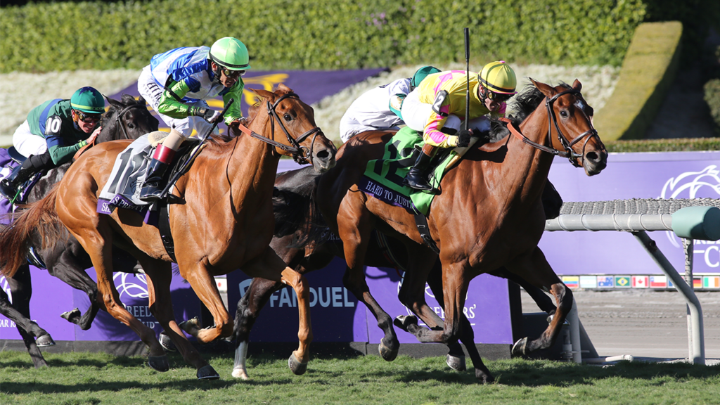 How to watch Breeders' Cup 2024: free live streams for Del Mar Classic, race schedule