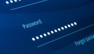 How does a password manager work?